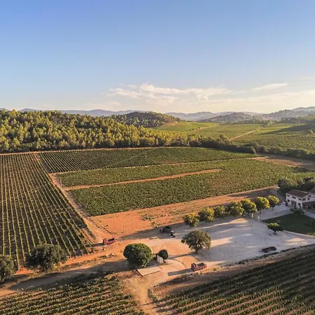 Domaine De Sigalous Ла-Кро